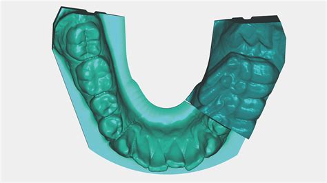 Image result for Modjo Jaw Motion