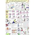 Fire Safety Chart | Laminated | 70 x 100 cm : Vidya Chitr Prakashan ...