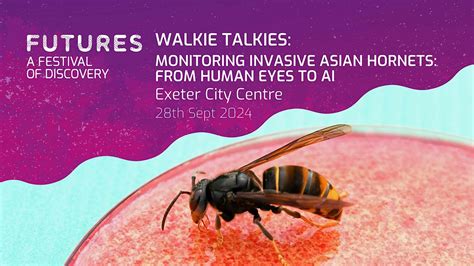 Walkie Talkies: Monitoring Invasive Asian Hornets: From Human Eyes to ...