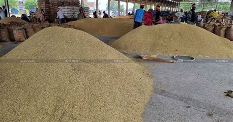 DGFT prohibits Export of De-Oiled Rice Bran until January 31, 2025 ...