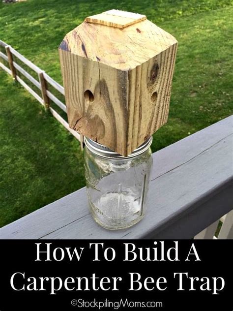 diy carpenter bee trap