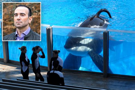 Tilikum, SeaWorld’s most famous whale, has died