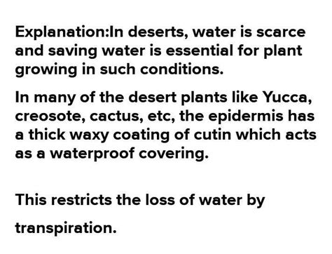 As we know that the leaves of plant are waterproof due to cuticle.On ...