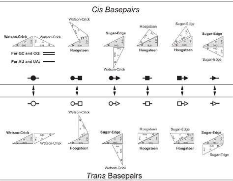 RNABP COGEST::Terms and Definitions