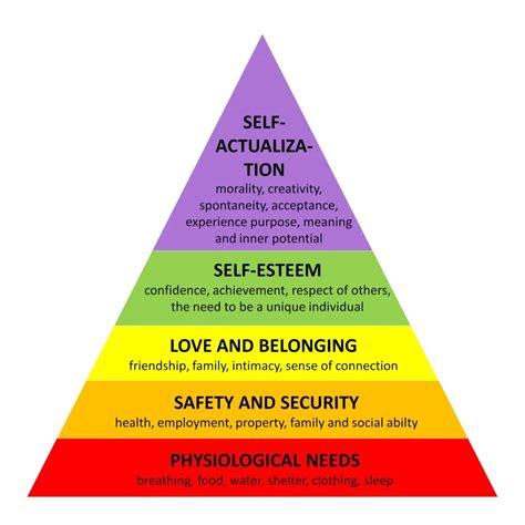 Achieving Career Success Through Maslow's Hierarchy of Needs