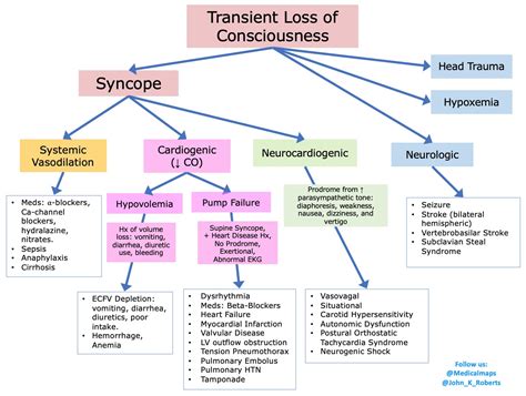 Loss Of Consciousness Concept Map
