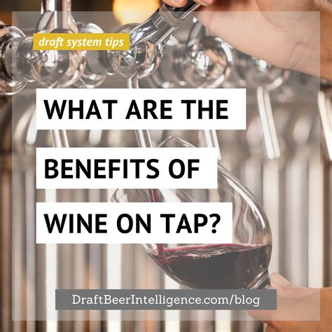 The Benefits Of Wine On Tap | Draft Beer Intelligence
