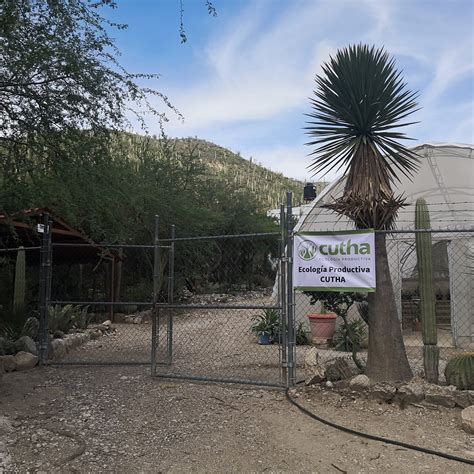 ECOLOGÍA PRODUCTIVA CUTHA S.P.R. DE R.L. Guide (2026) All You Need to ...