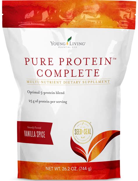 Protein Power: 12 Quick and Easy Protein-Filled Snacks