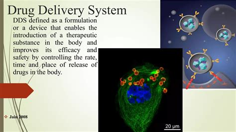 Image result for Drug Delivery System SlideShare