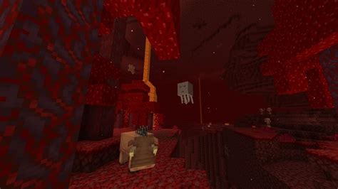 Image result for Best Nether Seeds Java