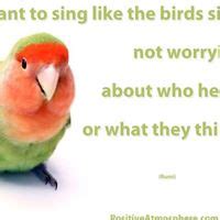 Events & Activities in Derby - Discover Today, Upcoming and Weekend ...