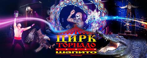 Цирк-шапито «Торнадо» | Официальная группа Цирка-шапито «ТОРНАДО» г ...