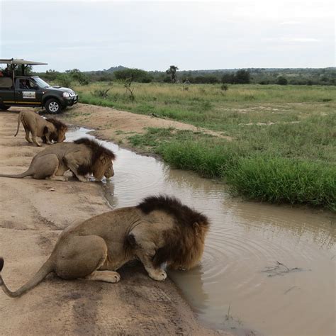 TOURACO TOURS (2025) All You Need to Know BEFORE You Go (with Photos ...