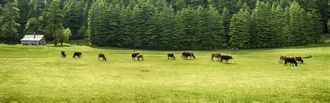 Dalhousie Tours and Packages: Best Time To Visit | Indianpanorma