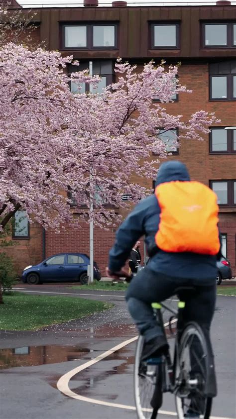 Stepmom+And+Son+Xxxx+Videos Videos, Download The BEST Free 4k Stock ...