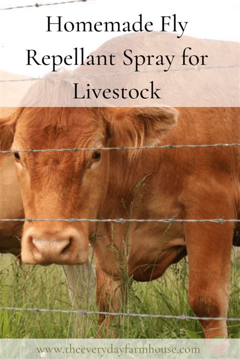 Fly Spray 的图像结果