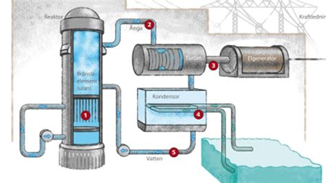 Nuclear Energy Electricity 的图像结果