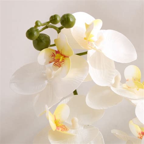 Buy Gloria Artificial Orchids in Ceramic Pot from Home Centre at just ...