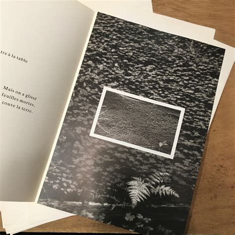 Feuilles et Feuillages / Karl Blossfeldt, Edouard Boubat, Wynn Bullock ...