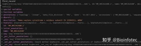 GenBank File 的图像结果