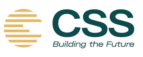 Avinav Ankit MBA Selected by - CSS Building the Future