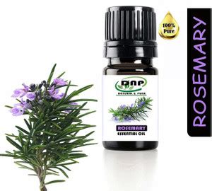 DNP Rosemary Essential Oil For Hair Growth,Skin , Body; - Price in ...