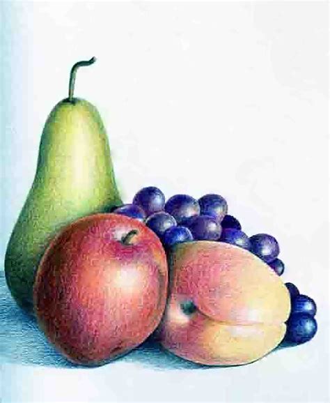 fruit overlapping drawing
