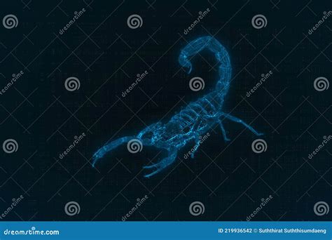 Highly Venomous Fattail Scorpion, Stock Illustration - Illustration of macro, body: 219936542