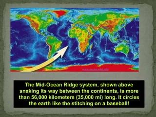 Sea Floor 的图像结果