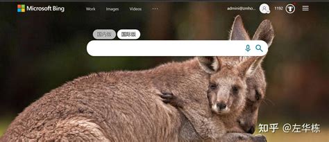 必应网 的图像结果