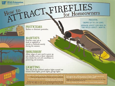 Attracting Fireflies Around Your Home | Agricultural science, Florida ...