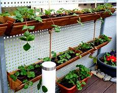 Strawberry Container Garden by Container Gardening Diy Strawberry Planter Easy And Strawberry Container Garden
