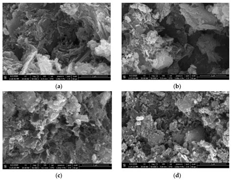 Study on the Preparation of Biochar Ceramsite Based on Sewage Sludge ...
