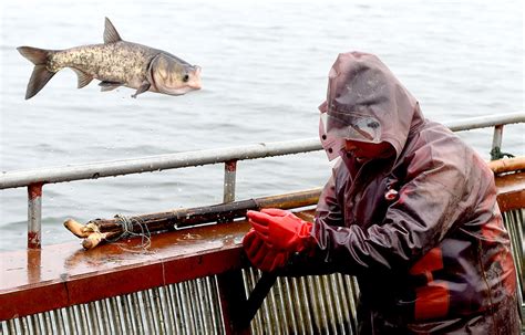 冬季捕鱼季 生态鱼满舱【3】--图片频道--人民网