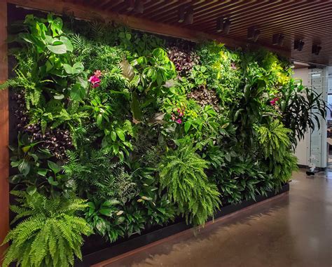 Commerical — Urban Blooms