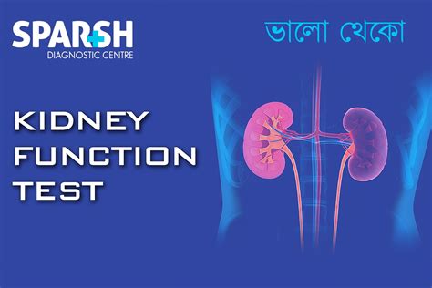 Kidney Function Test (KFT) - Sparsh Diagnostic Center