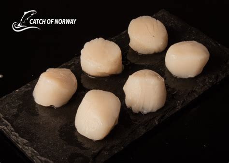 KING Scallops – Catch of Norway Seafood