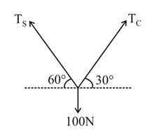 A block of weight 100 N is suspended by copper and steel wires of same ...