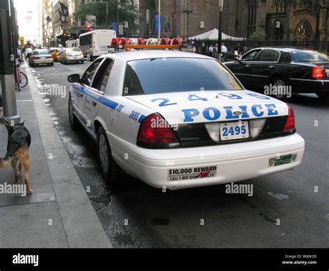 Nypd Police Car Crash