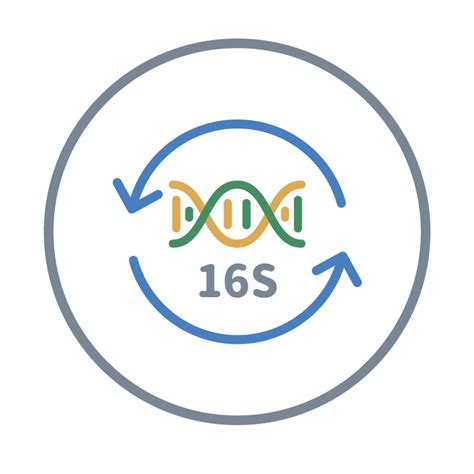 16s RNA-Seq Kit for Microbiome Analysis
