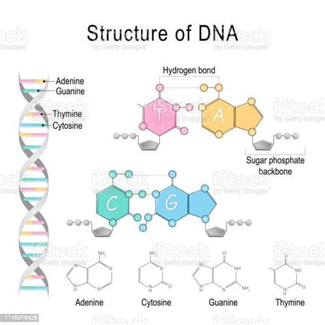 Image result for DNA Microarray Data
