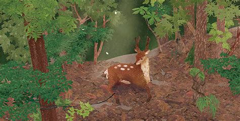 08-捕われた鹿 Deer in a Trap | enogubakostore