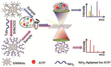 Nanomaterials as Assisted Matrix of Laser Desorption/Ionization Time-of ...