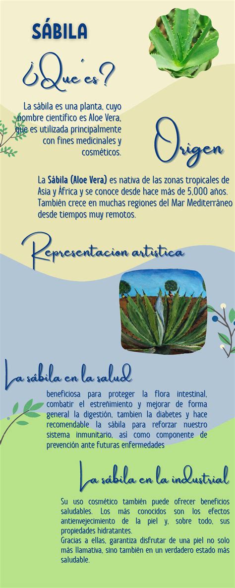 La sábila - Infografia de la sabila - La sábila en la saludLa sábila en la saludLa sábila en la ...