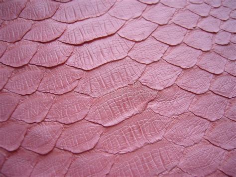 Image result for Pink Python Skin