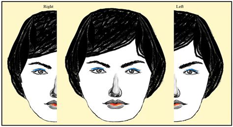 Asymmetry and Symmetry in the Beauty of Human Faces