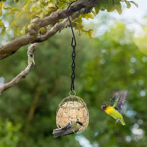 Squirrel Proof Bird Feeder Deer Proof Bird Feeder Squirrel Buster Suet ...