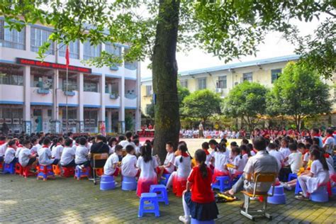 桂林市私立小学排名榜 桂林市中美实验学校上榜第一致力创新_排行榜123网