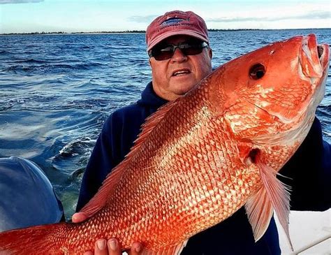 Gotcha Fishing Charters (Pensacola) - All You Need to Know BEFORE You Go